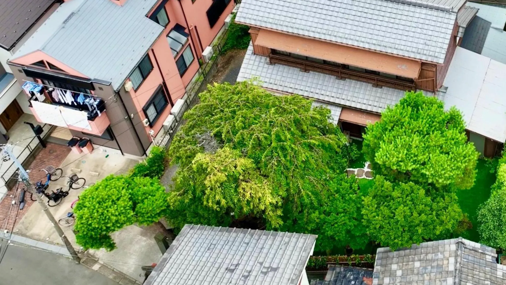 Family Or Business Travel 20 Percent Off丨200 Sqm 丨 14 Min To Shinjuku 丨century-Old Japanese Garden 丨3 Parking Spaces丨4 Bedrooms Tokyo
